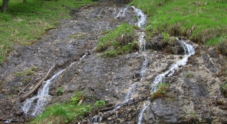 Kirchdorf in Tirol 