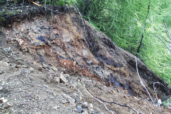 Haldenanschnitt bei Baustelle südlich Wuppermann.jpg