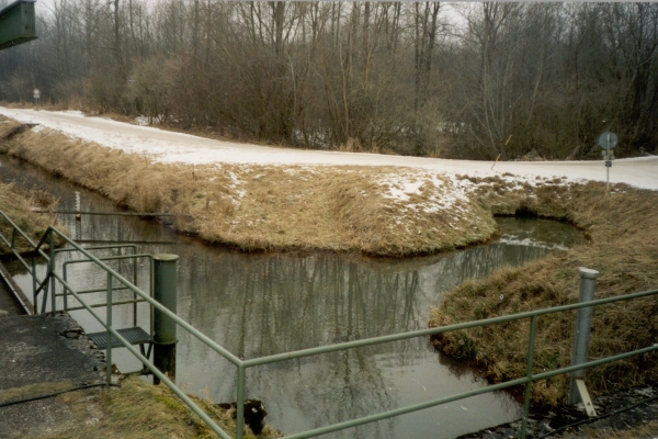 Schutzg_Erlach_05.jpg